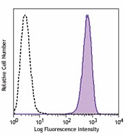 PE anti-FOLR1 (Folate Binding Protein) Antibody (908303)