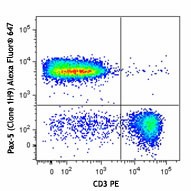 Alexa Fluor® 647 anti-Pax-5 Antibody (649703)