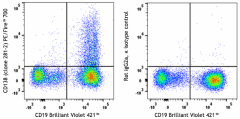 PE/Fire™ 700 anti-mouse CD138 (Syndecan-1) Antibody (142547)