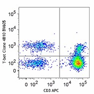 Brilliant Violet 605™ anti-T-bet Antibody (644817)