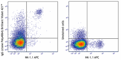 Brilliant Violet 421™ Donkey anti-rabbit IgG (minimal x-reactivity) Antibody (406410)