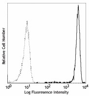 PE anti-human CD182 (CXCR2) Antibody (320705)