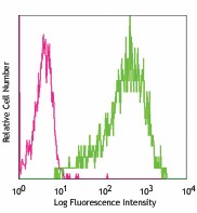 PE anti-mouse MAIR-IV (CLM-5) Antibody (139605)