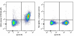 APC anti-mouse CD32 (Fcgr2) Antibody (156405)