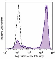 PE anti-human CD192 (CCR2) Antibody (357205)