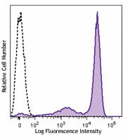 PE/Cyanine7 anti-mouse Ly-6G/Ly-6C (Gr-1) Antibody (108415)