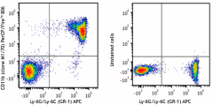 PerCP/Fire™ 806 anti-mouse/human CD11b Antibody (101293)