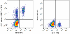 PE/Fire™ 810 anti-human CD39 Antibody (328245)