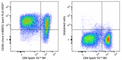 Spark PLUS B550™ anti-human CD366 (Tim-3) Antibody (364813)