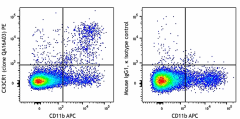 PE anti-mouse CX3CR1 Recombinant Antibody (153705)