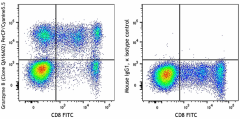 PerCP/Cyanine5.5 anti-human/mouse Granzyme B Recombinant Antibody (372211)