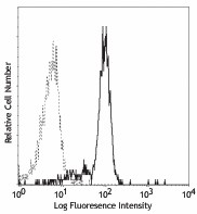 PE anti-human CD116 Antibody (305908)