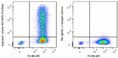 Purified anti-mouse Arginase 1 Antibody (165802)