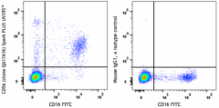 Spark PLUS UV395™ anti-human CD56 (NCAM) Recombinant Antibody (392437)