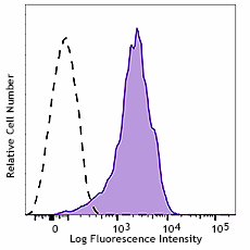 APC anti-mouse β2-microglobulin Antibody (154505)