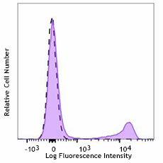 Brilliant Violet 711™ anti-mouse CD90.2 (Thy1.2) Antibody (105349)