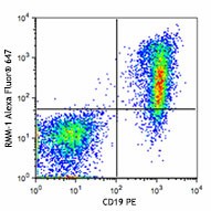 Alexa Fluor® 647 anti-mouse IgM Antibody (406525)