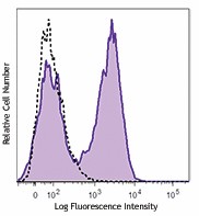 APC anti-mouse CD137 Antibody (106109)