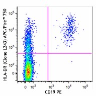 APC/Fire™ 750 anti-human HLA-DR Antibody (307657)