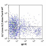 Alexa Fluor® 647 anti-mouse/human GL7 Antigen (T and B cell Activation Marker) Antibody (144605)