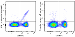 APC anti-mouse TCR γ/δ Recombinant Antibody (111205)