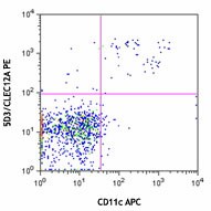 PE anti-mouse CD371 (CLEC12A) Antibody (143403)