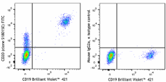 FITC anti-human CD20 Antibody (375507)