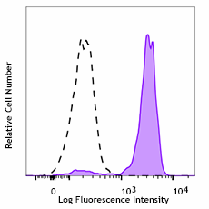 PE anti-human CD369 (Dectin-1/CLEC7A) Antibody (355403)
