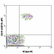 PE anti-human CD275 (B7-H2, B7-RP1, ICOSL) Antibody (329805)