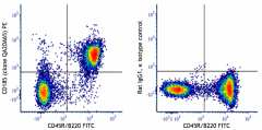 PE anti-mouse CD185 (CXCR5) Recombinant Antibody (110503)
