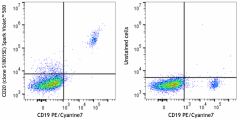 Spark Violet™ 500 anti-human CD20 Antibody (375531)