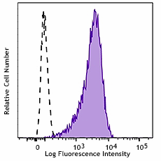 PE anti-human/mouse/rat MR1 Antibody (396105)
