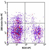 Biotin anti-mouse CD117 (c-Kit) Antibody (105803)