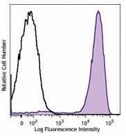 Brilliant Violet 711™ anti-mouse Ly-6G/Ly-6C (Gr-1) Antibody (108443)