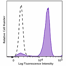 Brilliant Violet 605™ anti-mouse CD16 Antibody (158027)