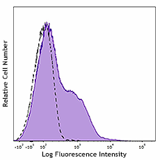 PE anti-human CD25 (985802)