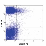PE anti-human CCR10 Antibody (341503)