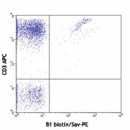 Biotin anti-human TCR γ/δ Antibody (331206)