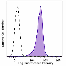 PE anti-mouse β2-microglobulin Antibody (154503)