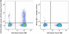 Alexa Fluor® 700 anti-human CD194 (CCR4) Antibody (359443)