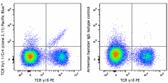 Pacific Blue™ anti-mouse TCR Vγ1.1/Cr4 Antibody (141109)