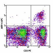 APC anti-mouse TCR Vβ5.1, 5.2 Antibody (139505)