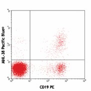 Pacific Blue™ anti-human Ig light chain λ Antibody (316616)