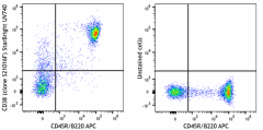 StarBright UltraViolet 740 anti-mouse CD38 Antibody (165621)