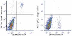 PE anti-human CD32B/C Antibody (398317)