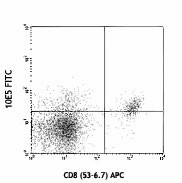 FITC anti-mouse CD226 (DNAM-1) Antibody (128803)