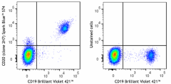 Spark Blue™ 574 anti-human CD20 Antibody (302383)