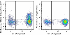 Brilliant Violet 510™ anti-human TIGIT (VSTM3) Antibody (372737)