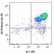 Biotin anti-mouse CD88 (C5aR) Antibody (135811)