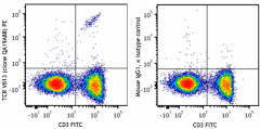 PE anti-mouse TCR Vβ13 Recombinant Antibody (104203)